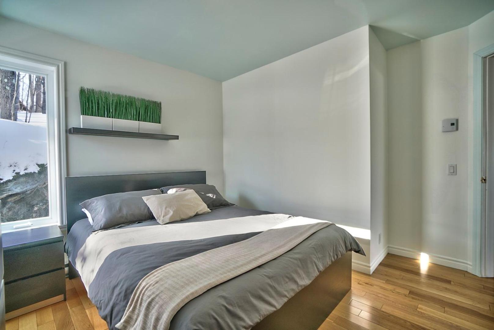 Dynamite 2-bedroom House, Garage, Sleeps 6 *
